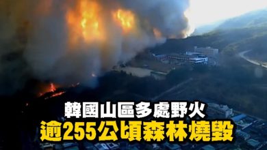 Photo of 韓國山區多處野火 逾255公頃森林燒毀