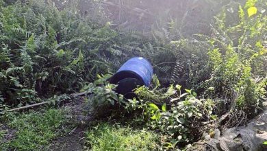 Photo of 油棕園驚現男屍 桶內發臭被員工揭發