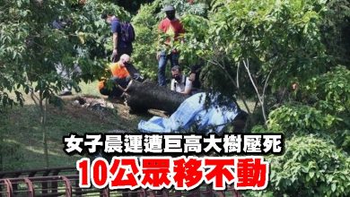 Photo of 女子晨運遭巨高大樹壓死 10公眾移不動