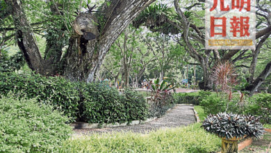 Photo of 孫意志:已致函青體部 公園應有條件開放