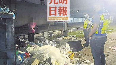 Photo of 太平6垃圾蟲接罰單