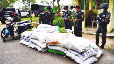 Photo of 警嚴打 供應減 哥冬葉價飆漲