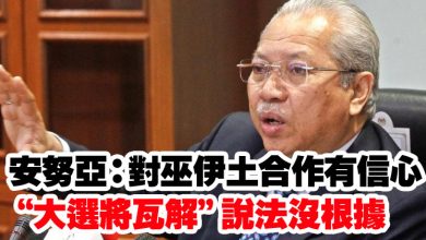 Photo of 安努亞：對巫伊土合作有信心  “大選將瓦解”說法沒根據