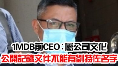 Photo of 1MDB前CEO：屬公司文化  公開記錄文件不能有劉特佐名字