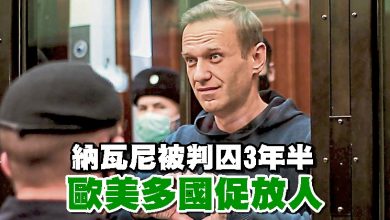 Photo of 納瓦尼被判囚3年半  歐美多國促放人