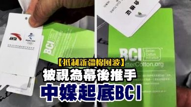 Photo of 【抵制新疆棉風波】被視為幕後推手 中媒起底BCI