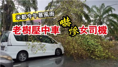 Photo of 米都今午暴風雨  老樹壓中車嚇慘女司機
