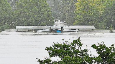 Photo of 澳洲東岸雨災惡化  總理動用聯邦資源救災