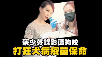 Photo of 蔡少芬錄影遭狗咬 打狂犬病疫苗保命