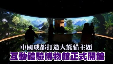 Photo of 中國成都打造大熊貓主題  互動體驗博物館正式開館