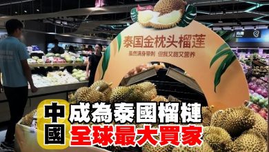 Photo of 中國成為泰國榴梿全球最大買家