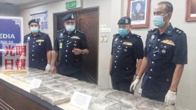 Photo of 警起獲44公斤大麻捕2人  阻流入本同與檳州市場