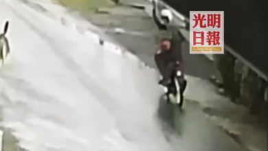 Photo of 2賊白天潛住家幹案 臨走朝鄰居電眼比手勢