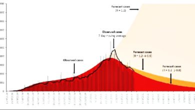 Photo of 諾希山：基本傳染數若維持0.8 4月3位數可期