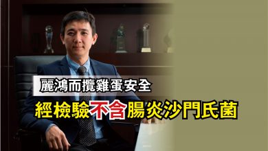Photo of 麗鴻而攬雞蛋安全 經檢驗不含腸炎沙門氏菌