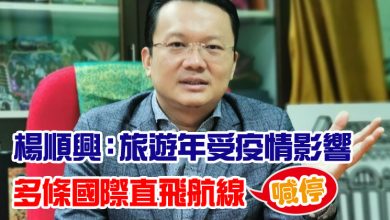 Photo of 楊順興:檳旅遊年受疫情影響 多條國際直飛航線喊停