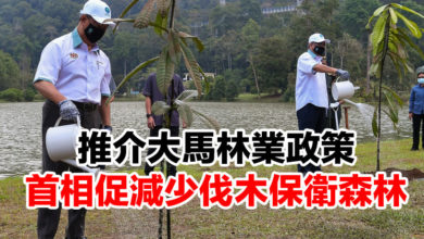 Photo of 推介大馬林業政策 首相促減少伐木保衛森林