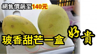 Photo of 玻香甜芒一盒好貴  網售價飆至140元
