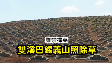 Photo of 雖禁掃墓  雙溪巴錫義山照除草