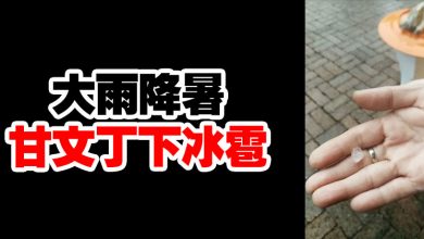 Photo of 大雨降暑 甘文丁下冰雹