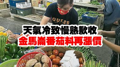 Photo of 天氣冷致慢熟歉收 金馬崙番茄料再漲價