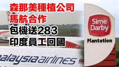 Photo of 森那美種植公司馬航合作 包機送283印度員工回國