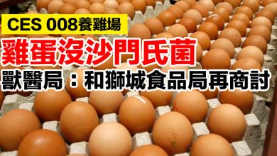 Photo of CES 008養雞場雞蛋沒沙門氏菌  獸醫局：將和獅城食品局再商討