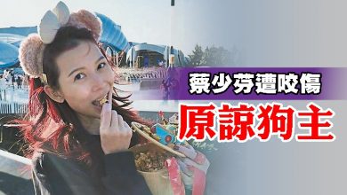 Photo of 蔡少芬遭咬傷 原諒狗主