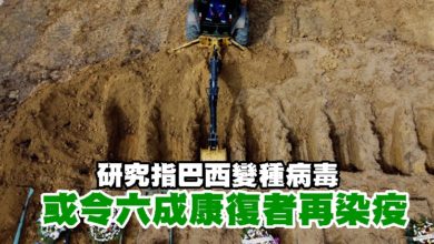 Photo of 研究指巴西變種病毒或令六成康復者再染疫