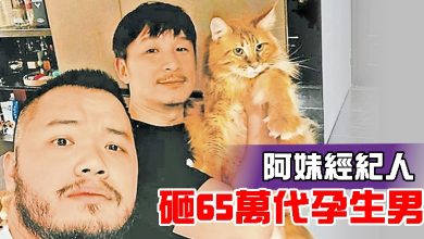 Photo of 阿妹經紀人 砸65萬代孕生男