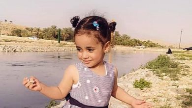 Photo of 遭5流浪狗包圍撕咬 4歲女童滿身血慘死