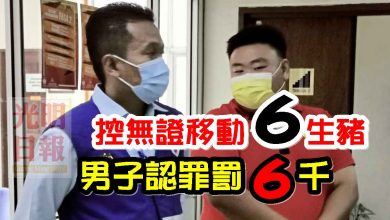 Photo of 控無證移動6生豬 男子認罪罰6千