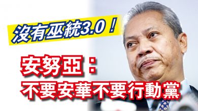 Photo of 沒有巫統3.0！  安努亞：不要安華不要行動黨
