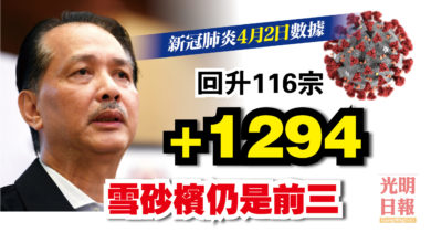 Photo of 增1294宗 回升116宗 雪砂檳仍是前三