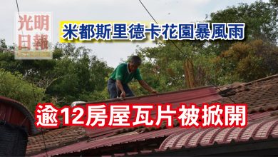 Photo of 米都斯里德卡花園暴風雨 逾12房屋瓦片被掀開