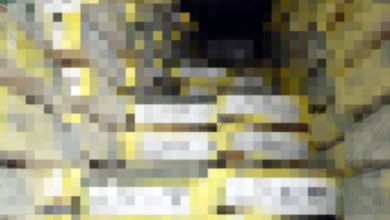 Photo of 違反入口條例 市值逾61萬冷凍水牛肉被扣押