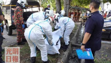 Photo of 爬樹採芒果不慎墜下  男子跌溝渠當場死