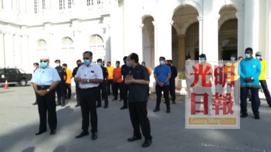 Photo of 【大樹倒奪命事件】佳日星：該樹移植跟足程序  獲專家認證