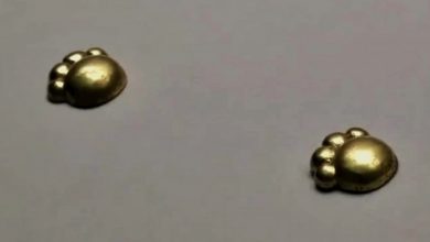 Photo of 中國2700年歷史出土墓地現5貓爪金飾
