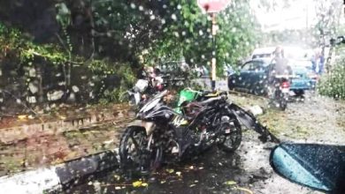 Photo of 油站附近避雨 送餐員被樹壓死