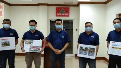 Photo of 民政黨促檳政府  公開老樹移植評估報告