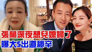 Photo of 張蘭深夜想兒媳婦了 曝大S出道秘辛