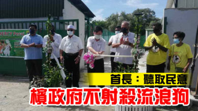 Photo of 首長：聽取民意 檳政府不射殺流浪狗