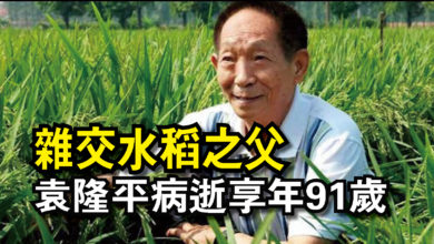 Photo of 雜交水稻之父  袁隆平病逝享年91歲