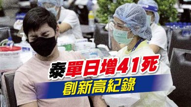 Photo of 泰單日增41死 創新高紀錄