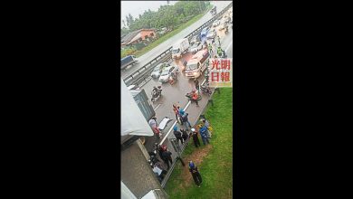 Photo of 從工廠返家途中遇禍 女子遭羅里輾死