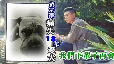 Photo of 黃宗澤痛失18年愛犬 “我們下輩子再會”