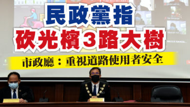 Photo of 民政黨指砍光檳3路大樹 市政廳:重視道路使用者安全