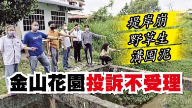 Photo of 堤岸崩 野草生 溝囤泥 金山花園投訴不受理