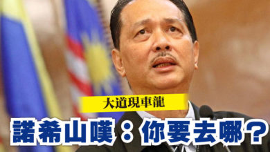 Photo of 大道現車龍  諾希山嘆：你要去哪？